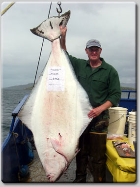 Halibut Fishing Kodiak