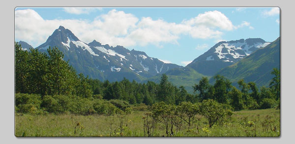 Uyak Bay, Kodiak Alaska